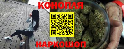 шишки Краснознаменск
